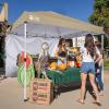 imageCROWN SHADES SunWall Silver Coated for 10x10 Pop up Canopy Tent with Targets 1 Pack Sidewall Only with Silver Coating 1 Pack WhiteBeige