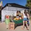 imageCROWN SHADES SunWall Silver Coated for 10x10 Pop up Canopy Tent with Targets 1 Pack Sidewall Only with Silver Coating 1 Pack WhiteBlack