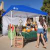 imageCROWN SHADES SunWall Silver Coated for 10x10 Pop up Canopy Tent with Targets 1 Pack Sidewall Only with Silver Coating 1 Pack WhiteBlue