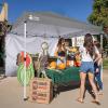imageCROWN SHADES SunWall Silver Coated for 10x10 Pop up Canopy Tent with Targets 1 Pack Sidewall Only with Silver Coating 1 Pack WhiteGray