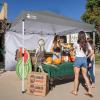 imageCROWN SHADES SunWall Silver Coated for 10x10 Pop up Canopy Tent with Targets 1 Pack Sidewall Only with Silver Coating 1 Pack WhiteGray
