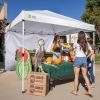 imageCROWN SHADES SunWall Silver Coated for 10x10 Pop up Canopy Tent with Targets 1 Pack Sidewall Only with Silver Coating 1 Pack WhiteWhite